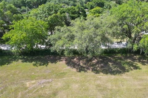 Terreno en venta en Dade City, Florida № 1805079 - foto 9