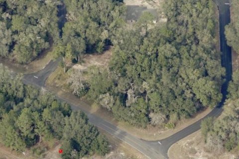 Land in Ocala, Florida № 2402767 - photo 2