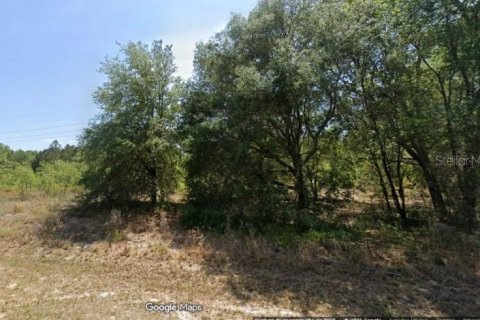 Land in Ocala, Florida № 2402767 - photo 3