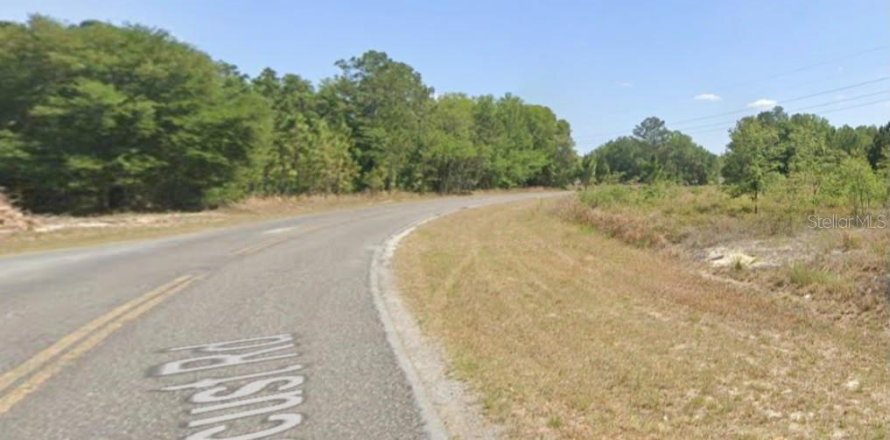 Land in Ocala, Florida № 2402767