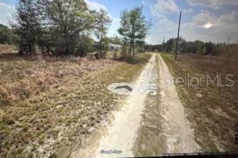 Land in Ocala, Florida № 2165553