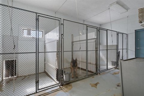 Villa ou maison à vendre à Ocala, Floride: 6 chambres, 628.67 m2 № 2421882 - photo 5