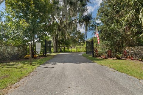 Villa ou maison à vendre à Ocala, Floride: 6 chambres, 628.67 m2 № 2421882 - photo 6