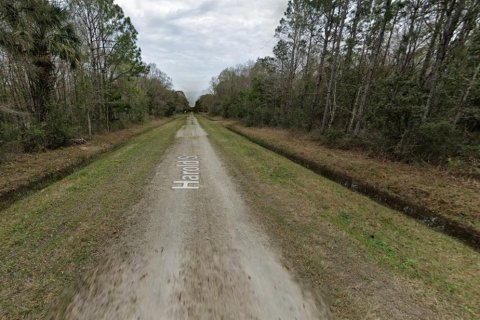 Land in Hastings, Florida № 2211887