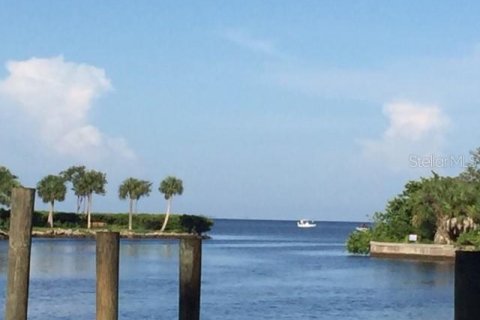 Copropriété à louer à Punta Gorda, Floride: 2 chambres, 82.68 m2 № 230876 - photo 24