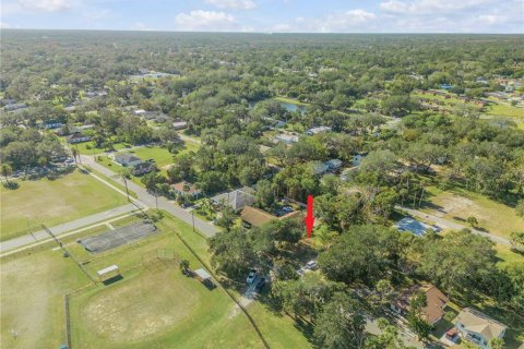 Land in New Smyrna Beach, Florida № 1561469 - photo 12