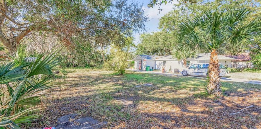 Land in New Smyrna Beach, Florida № 1561469