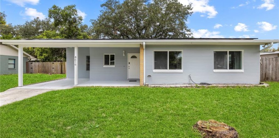 Villa ou maison à Temple Terrace, Floride 3 chambres, 115.29 m2 № 2287690
