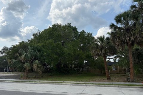 Terreno en venta en Sanford, Florida № 1736570 - foto 3