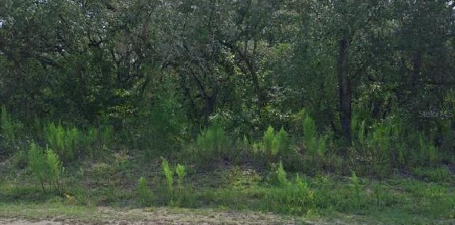 Land in Weeki Wachee, Florida № 2258668
