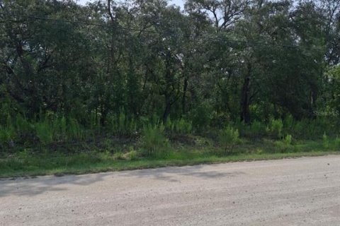 Land in Weeki Wachee, Florida № 2258668 - photo 8