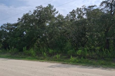 Land in Weeki Wachee, Florida № 2258668 - photo 2