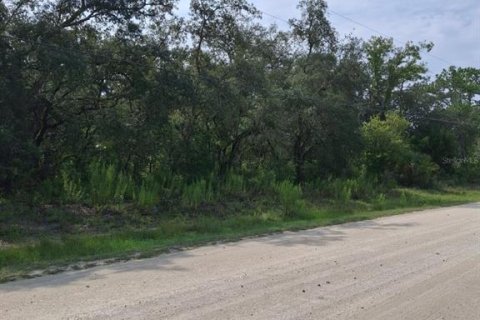 Land in Weeki Wachee, Florida № 2258668 - photo 5