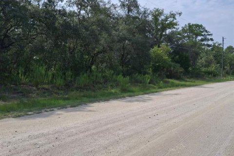 Land in Weeki Wachee, Florida № 2258668 - photo 4