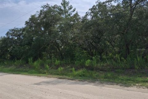 Land in Weeki Wachee, Florida № 2258668 - photo 7