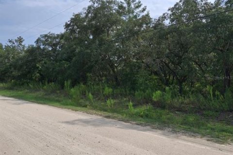 Land in Weeki Wachee, Florida № 2258668 - photo 3