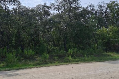 Land in Weeki Wachee, Florida № 2258668 - photo 6