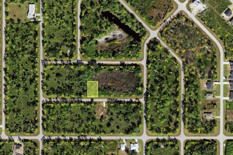 Land in Port Charlotte, Florida № 2378950 - photo 2