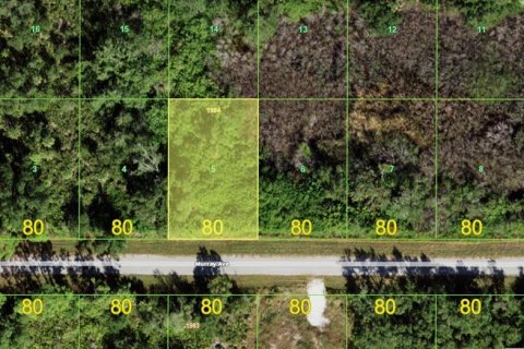 Land in Port Charlotte, Florida № 2378950
