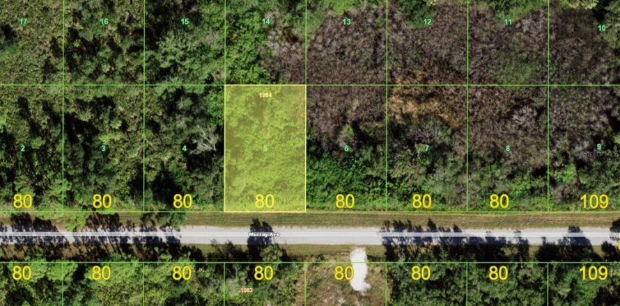 Land in Port Charlotte, Florida № 2378950