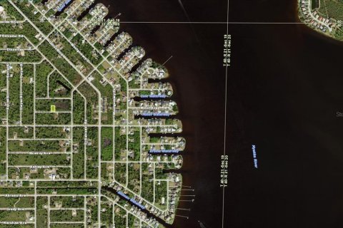Land in Port Charlotte, Florida № 2378950 - photo 3
