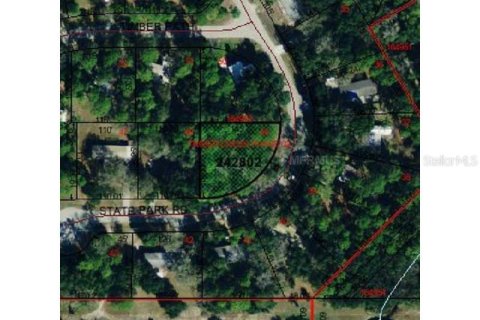 Land in Lakeland, Florida № 2215575 - photo 6