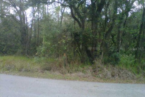 Land in Lakeland, Florida № 2215575 - photo 3