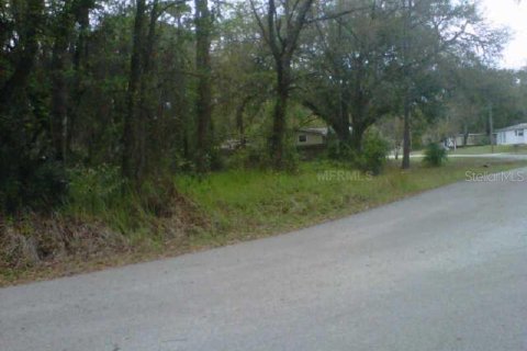 Land in Lakeland, Florida № 2215575 - photo 4