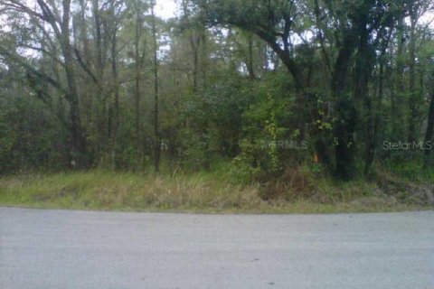 Land in Lakeland, Florida № 2215575 - photo 2