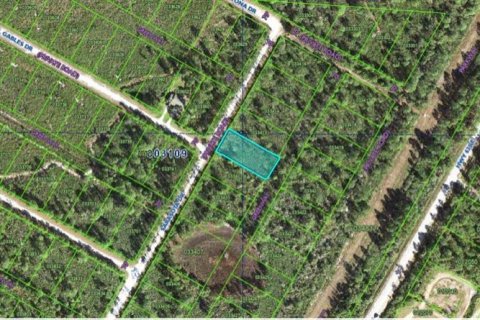 Land in Indian lake estates, Florida № 2161971 - photo 4