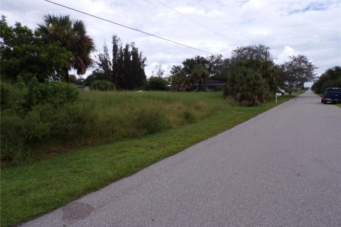 Land in Punta Gorda, Florida № 1916875 - photo 10