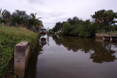 Land in Punta Gorda, Florida № 1916875 - photo 3