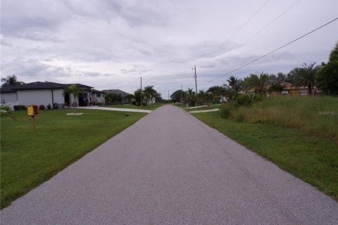 Land in Punta Gorda, Florida № 1916875 - photo 17