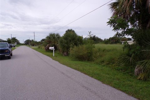 Land in Punta Gorda, Florida № 1916875 - photo 13