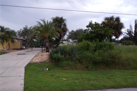 Land in Punta Gorda, Florida № 1916875 - photo 8