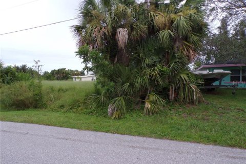 Land in Punta Gorda, Florida № 1916875 - photo 11