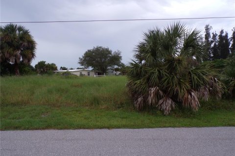 Land in Punta Gorda, Florida № 1916875 - photo 1