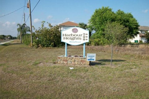 Land in Punta Gorda, Florida № 1916875 - photo 23