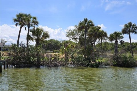 Land in Edgewater, Florida № 2212892 - photo 9