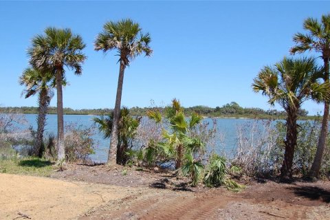 Land in Edgewater, Florida № 2212892 - photo 3