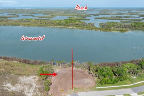 Land in Edgewater, Florida № 2212892 - photo 2