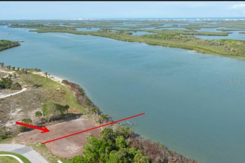 Land in Edgewater, Florida № 2212892 - photo 5