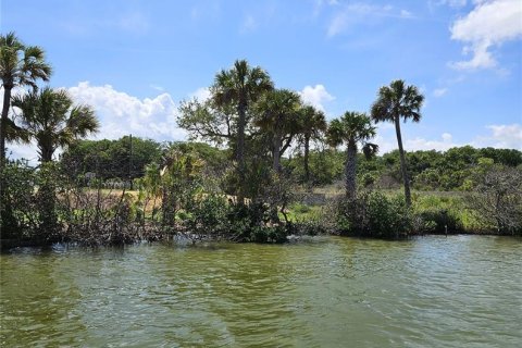 Land in Edgewater, Florida № 2212892 - photo 10