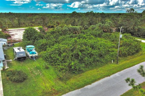 Terrain à Port Charlotte, Floride № 2185385
