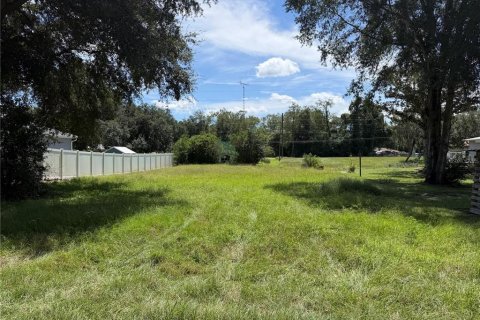 Land in Summerfield, Florida № 2364874