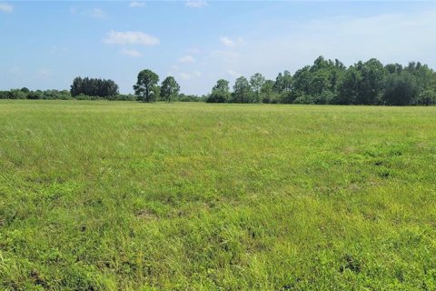 Land in Placida, Florida № 2165256 - photo 2