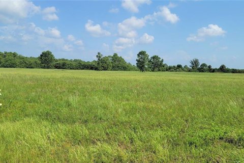 Land in Placida, Florida № 2165256 - photo 5