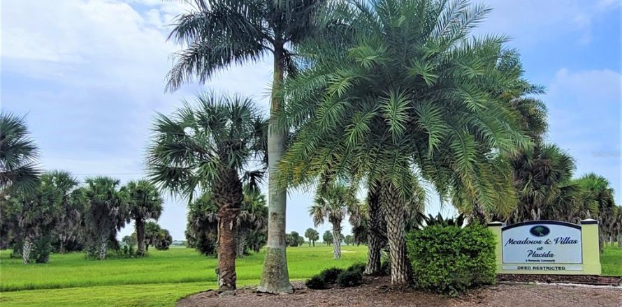 Land in Placida, Florida № 2165256