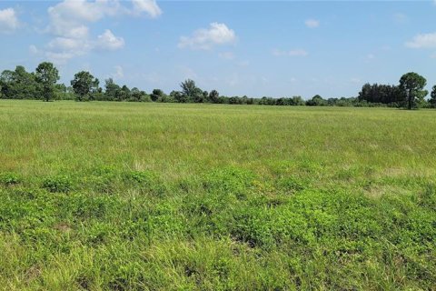 Land in Placida, Florida № 2165256 - photo 4