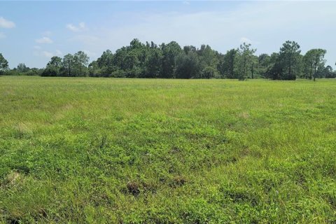 Land in Placida, Florida № 2165256 - photo 3